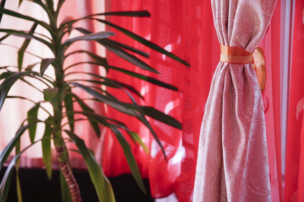 ヴィラ グランデ ヤシ 部屋 写真